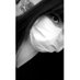 Carol Larrain (@carol_larrain) Twitter profile photo Carol Larrain (@carol_larrain) Twitter profile photo