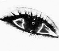 amanda_samper's profile picture. Bienvenido a mi morada. Entre libremente, por su propia voluntad, y deje parte de la felicidad que trae. (Drácula, de Bram Stoker)