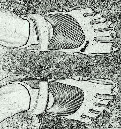 PeterMaconald's profile picture. 