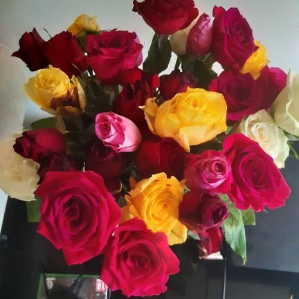 GarethNeale6's profile picture. just having fun!