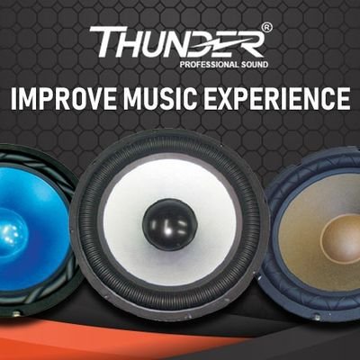 Pro Thunder Sound, a choice for the professional audio system
