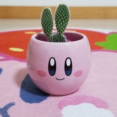 ちーのさんのプロフィール画像