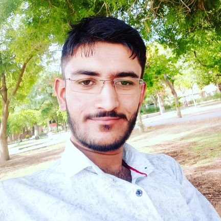 Nareshkumar1458's profile picture. CA student