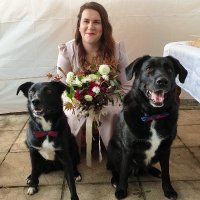 Dr Zoe Cooke (@zoe_9392) 's Twitter Profile Photo