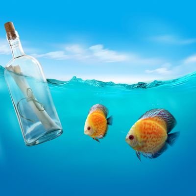 VclavNo62860379's profile picture. 