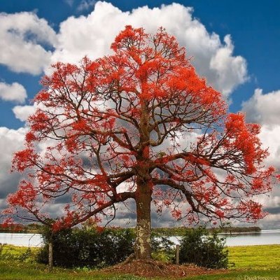 mercy_gathoni's profile picture. 