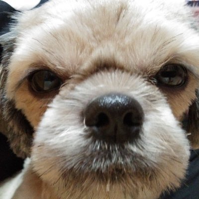 RenzD35527673's profile picture. 