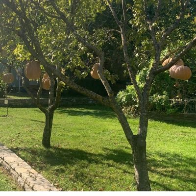 Brendajackie12's profile picture. 