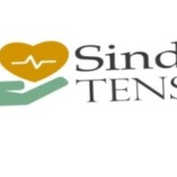 Sindtens (@sindtens) 's Twitter Profile