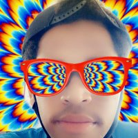 berry fresh (@boost_kennel) 's Twitter Profile