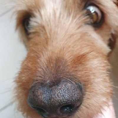 HerveCasanova's profile picture. 