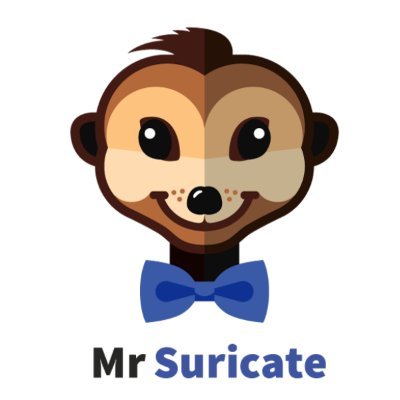 Mr Suricate