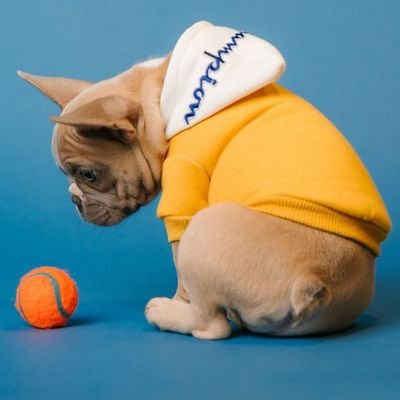 Akpovwovwooke's profile picture. 