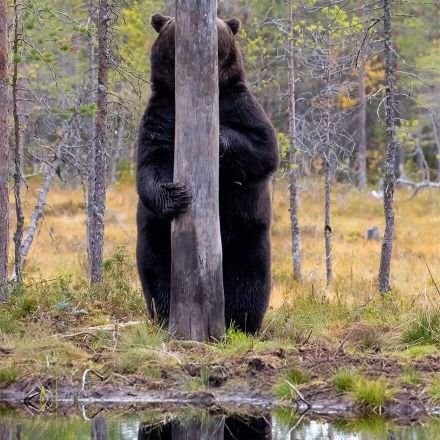 sgarciacampos's profile picture. 