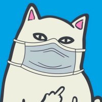 進撃のCat (@roketdan1) 's Twitter Profile Photo 進撃のCat (@roketdan1) 's Twitter Profile Photo