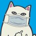 進撃のCat (@roketdan1) Twitter profile photo 進撃のCat (@roketdan1) Twitter profile photo