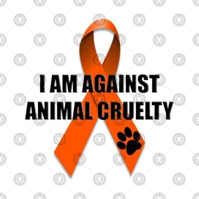 Τα ζώα είναι ότι μας απέμεινε από τον παράδεισο ... (Milan Kundera) #AdoptDontShop #BoycottSeaworld #CaptivityKills