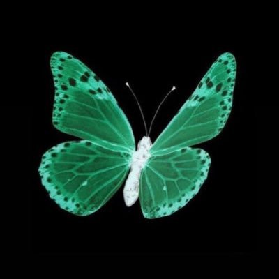 cloudbust1ng's profile picture. im a bitch ...I'm a lover