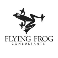 Flying Frog Consultants(@ConsultantsFrog) 's Twitter Profile Photo