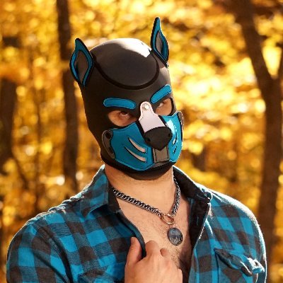 Pup Stromさんのプロフィール画像