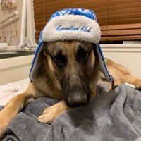 Lucas Andrews (@lucasandrews101) 's Twitter Profile