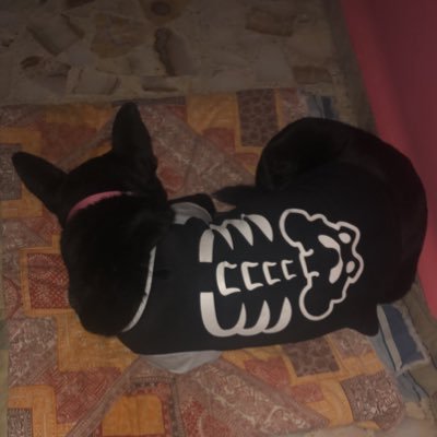 MaliaGalaxia's profile picture. “No puedes querer a unos y comerte a otros”