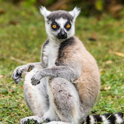 _FunnyKitkat's profile picture. 