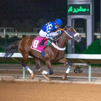 عبدالرحمن الفرحان (@alfarhanak) 's Twitter Profile