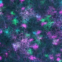 Sivyerlab (@sivyerlab) 's Twitter Profile Photo Sivyerlab (@sivyerlab) 's Twitter Profile Photo