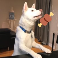 Cade (@cde0222) 's Twitter Profile