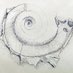 Galway Geological Association (GGA) (@galwaygga) Twitter profile photo Galway Geological Association (GGA) (@galwaygga) Twitter profile photo