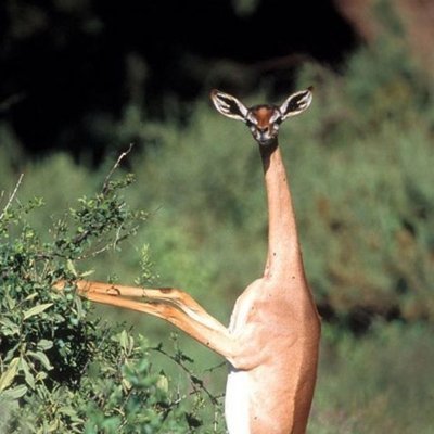 UpinskiAdam's profile picture. Bla