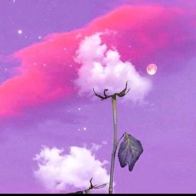 JK51256207's profile picture. Roses are red, I'm going to bed