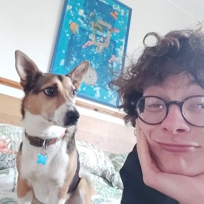 Data scientist @UKHSA, stats PhD alumnus @nclmathsstats and @royalstatsoc volunteer | 🐕🚵‍♂️ #UTS🦐 | He/him & views own

https://t.co/9Q9JWcBbw6