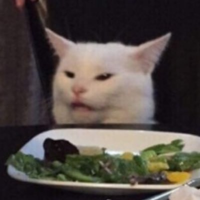 curiouslymonkey's profile picture. How many times do you have to click “I accept cookies” before they send you cookies? 🍪