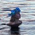 Laura Evans - St Ives Mermaid (@StIvesMermaid) Twitter profile photo