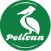 Pelican Delivers Investor Relations (@deliverspelican) Twitter profile photo Pelican Delivers Investor Relations (@deliverspelican) Twitter profile photo