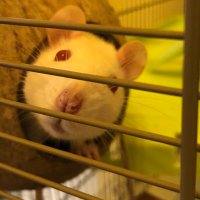 AllisonG (@allison76014819) 's Twitter Profile Photo