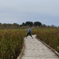 Da-Inn Erika Lee (@dyneofdata) 's Twitter Profile