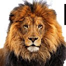 EosLion's profile picture. I help leadership teams get more of they want out of their business.  I am a Professional Implementer of the Entrepreneurial Operating System - EOS - Traction