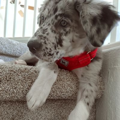 mirnoli1's profile picture. (she/her)