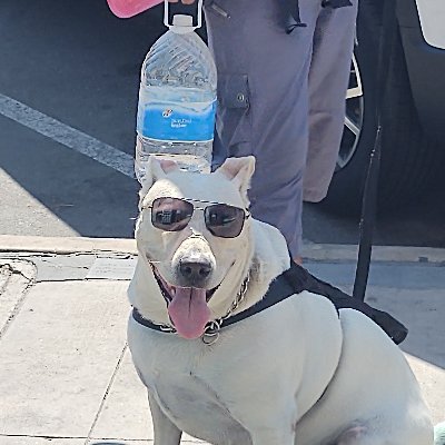 cclay107_clay's profile picture. 