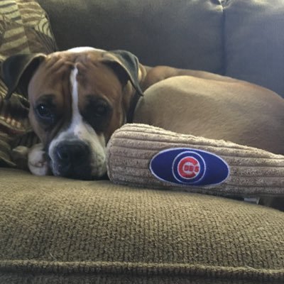 Diehard Cubs fan surrounded by Astros fans!