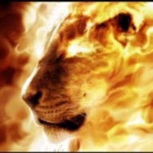 gr8tstocks's profile picture. 