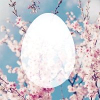 커플 트레틀 알티 봇🕯️ (@coupletracingrt) 's Twitter Profile