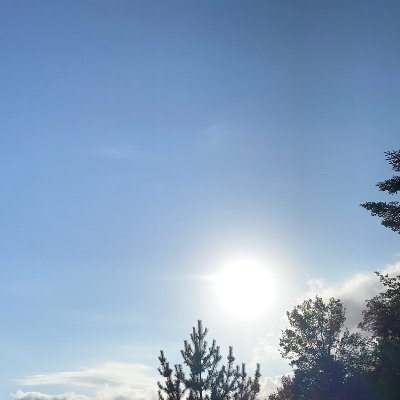 Firstai44635598's profile picture. :;((°ө°));: