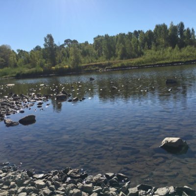 coloradonatives's profile picture. CO Native