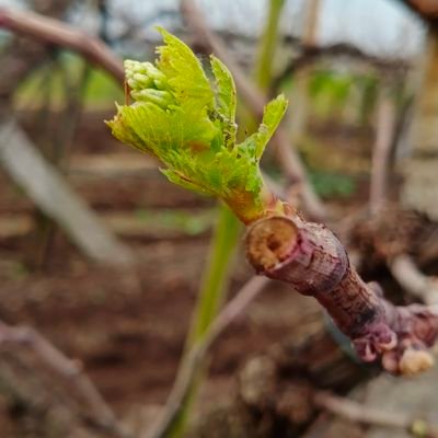 sunilkavde1's profile picture. 