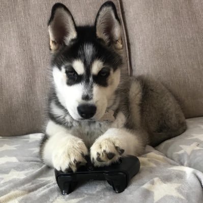 Flliix's profile picture. 