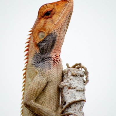 carolynnn_h's profile picture. Early Childhood Teacher.